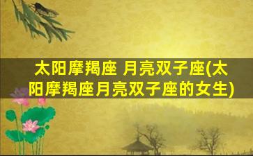 太阳摩羯座 月亮双子座(太阳摩羯座月亮双子座的女生)